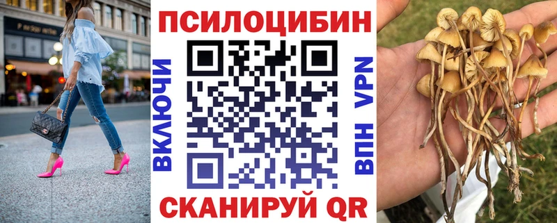 Псилоцибиновые грибы Psilocybine cubensis  блэк спрут ССЫЛКА  Инсар 